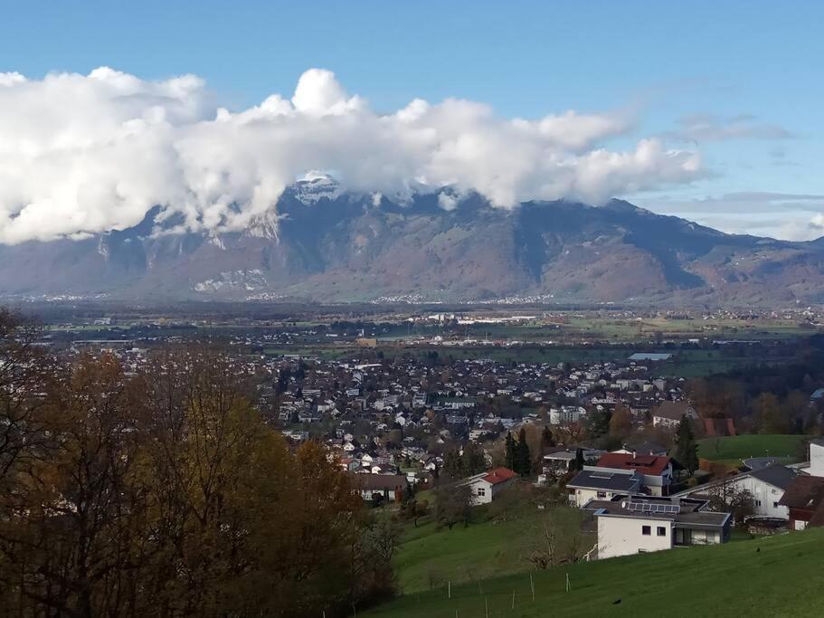 Wohnung Rheintal Im Alpenvorland Batschuns Exterior foto