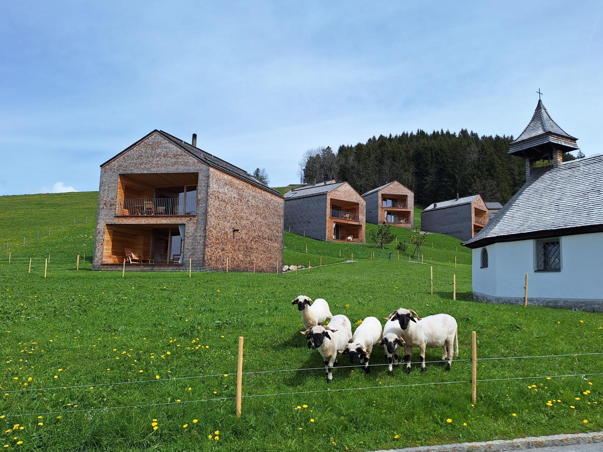 Wohnung Rheintal Im Alpenvorland Batschuns Exterior foto