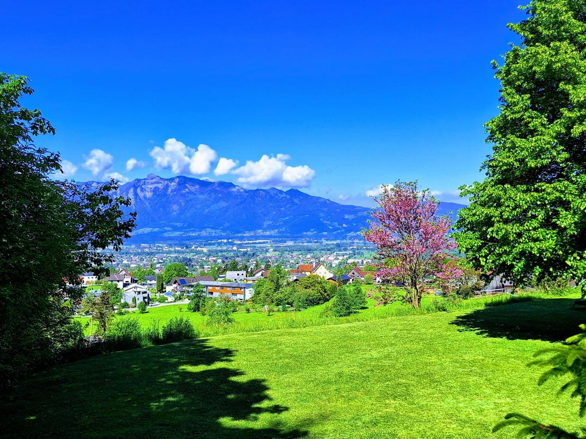 Wohnung Rheintal Im Alpenvorland Batschuns Exterior foto